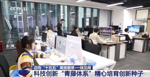 一線見聞丨順藤摸瓜 深圳科創青藤體系如何賦能硬科技轉化