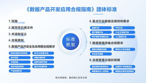 全國首部數(shù)據(jù)產(chǎn)品開發(fā)應(yīng)用合規(guī)標(biāo)準(zhǔn)即將出臺，信息技術(shù)咨詢服務(wù)助力企業(yè)合規(guī)轉(zhuǎn)型